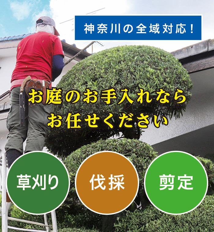 橿原市で草刈り・剪定・伐採なら「お庭の大将」 橿原市で草刈り・剪定・伐採なら「お庭の大将」