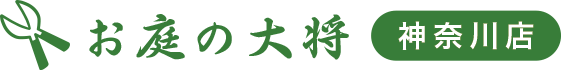 ̑叫 _ސX